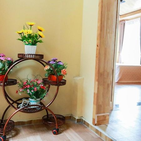 Cat Ba Vintage Homestay Cat Ba Island Exterior foto