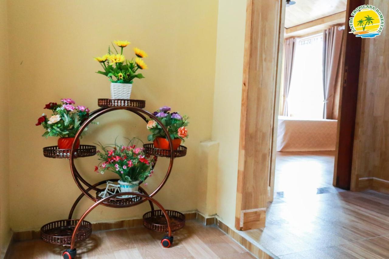 Cat Ba Vintage Homestay Cat Ba Island Exterior foto