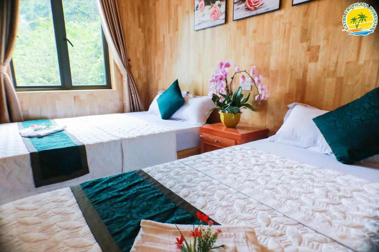 Cat Ba Vintage Homestay Cat Ba Island Exterior foto