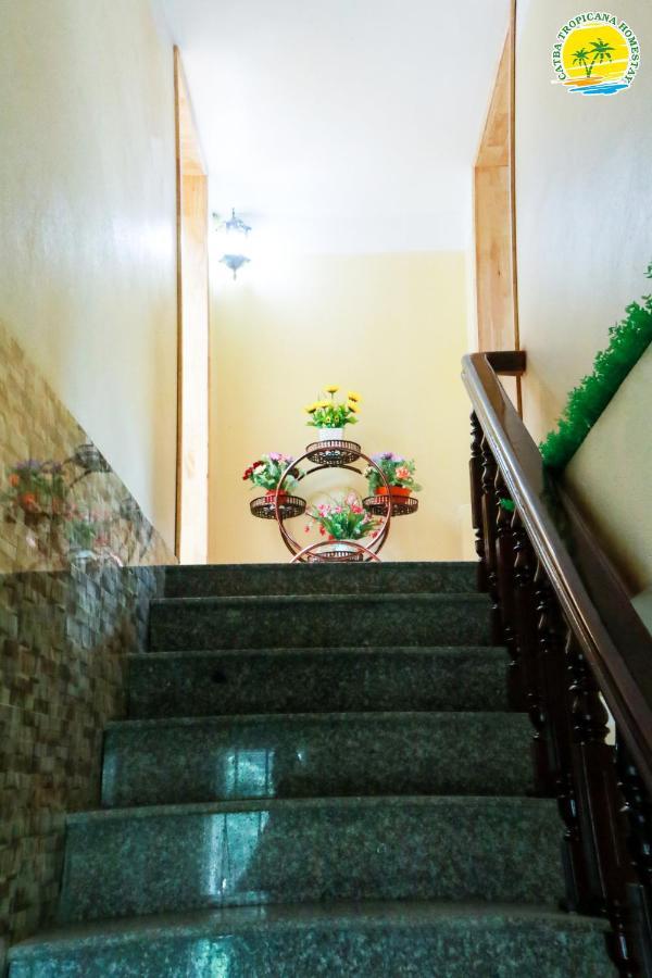 Cat Ba Vintage Homestay Cat Ba Island Exterior foto